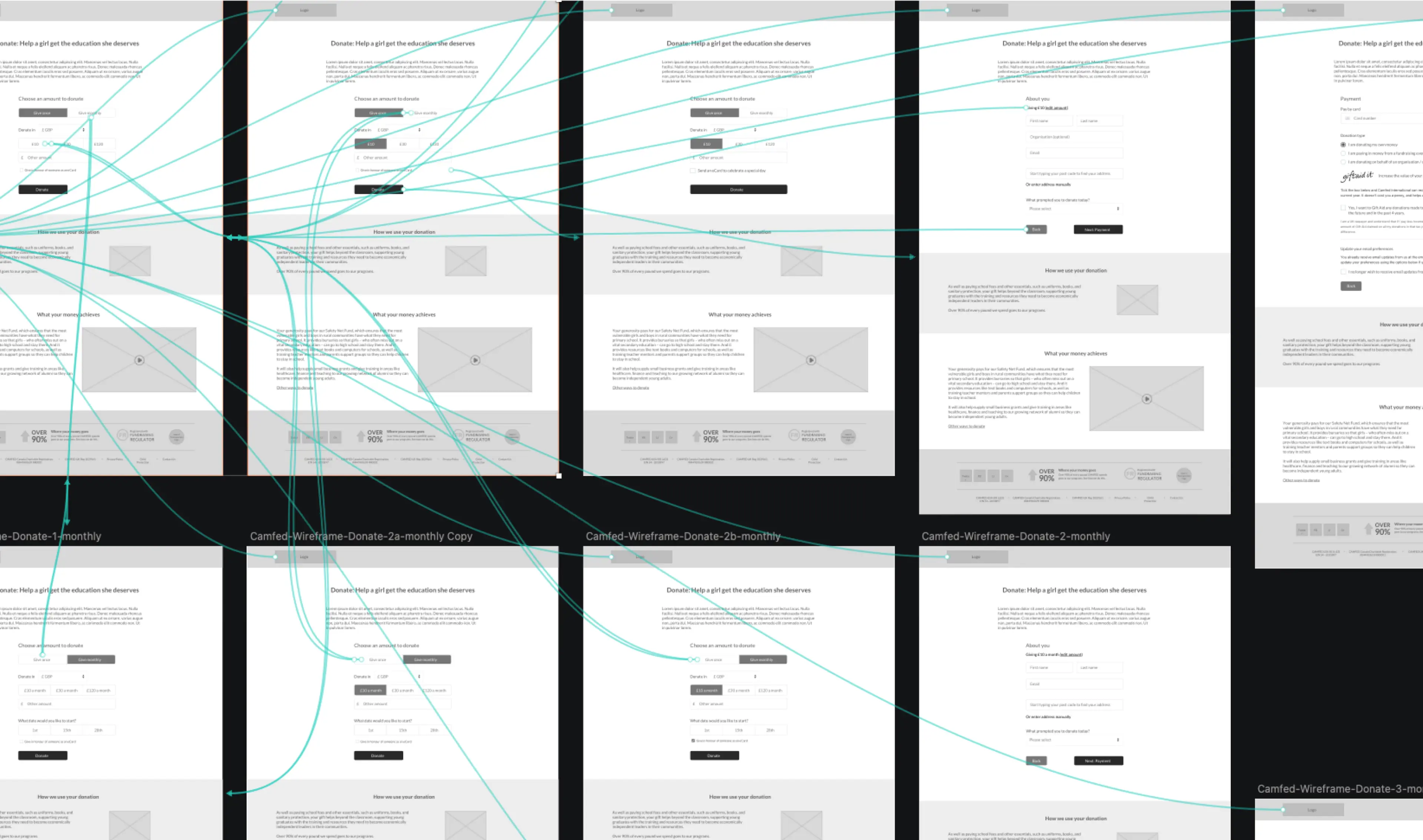 Camfed Wireframes